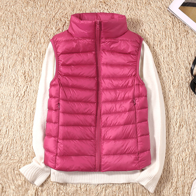 Fucsia / 4XL